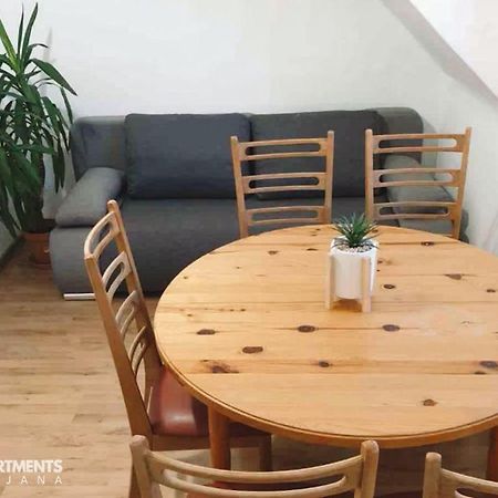 Huge Bbq Garden 2, Spacious Flat, Ac, Free Parking 2 류블랴나 외부 사진