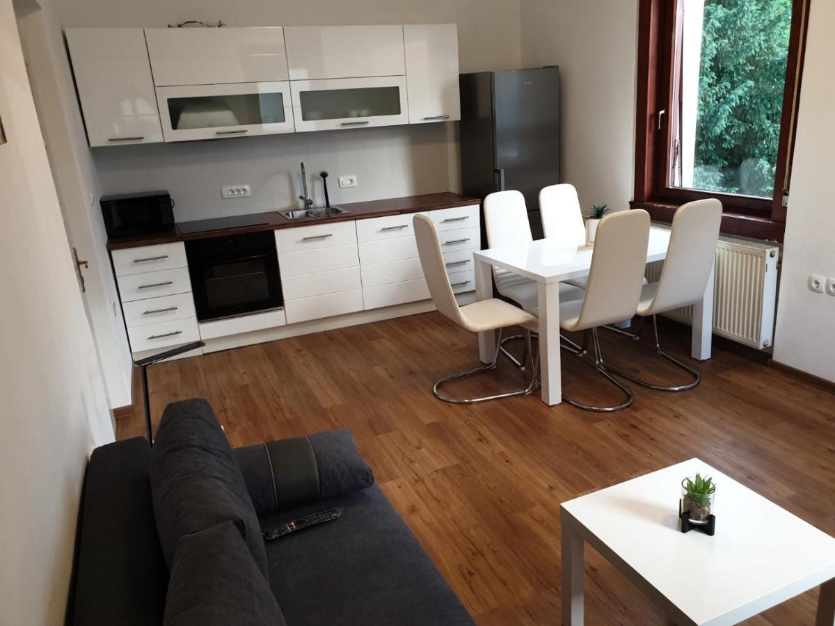 Huge Bbq Garden 2, Spacious Flat, Ac, Free Parking 2 류블랴나 외부 사진