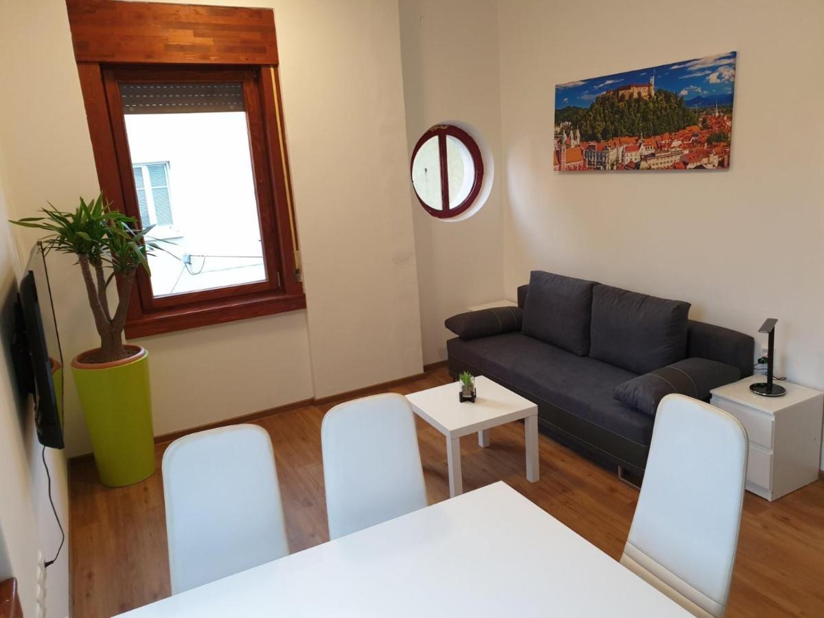 Huge Bbq Garden 2, Spacious Flat, Ac, Free Parking 2 류블랴나 외부 사진
