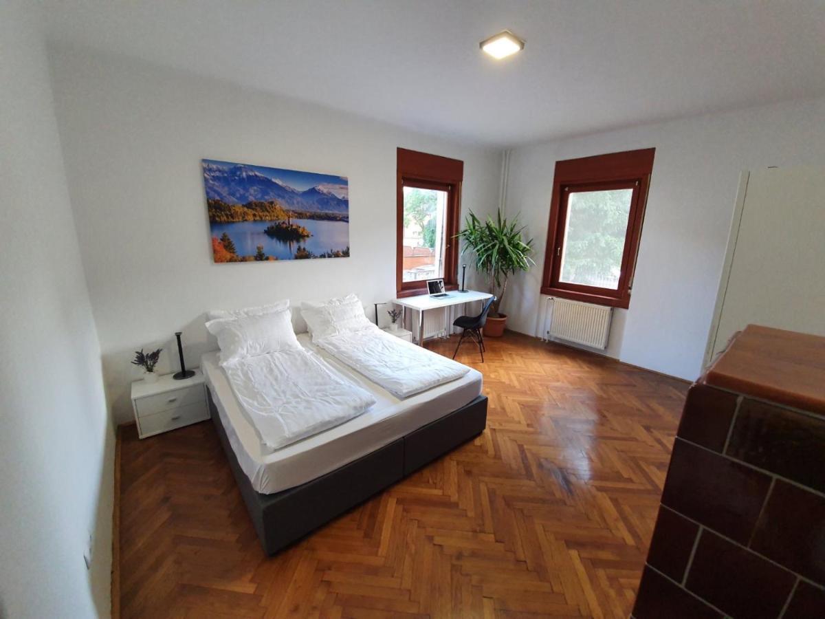 Huge Bbq Garden 2, Spacious Flat, Ac, Free Parking 2 류블랴나 외부 사진